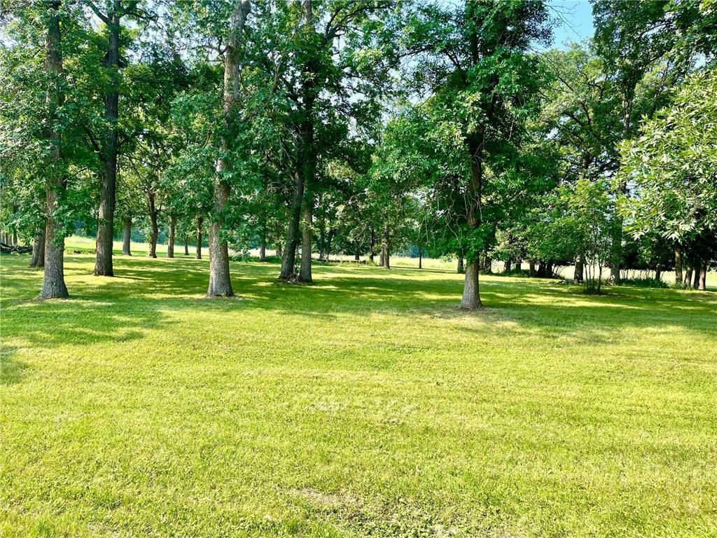1476 Long Lake Drive Detroit Lakes MN 56501 7083946 image6