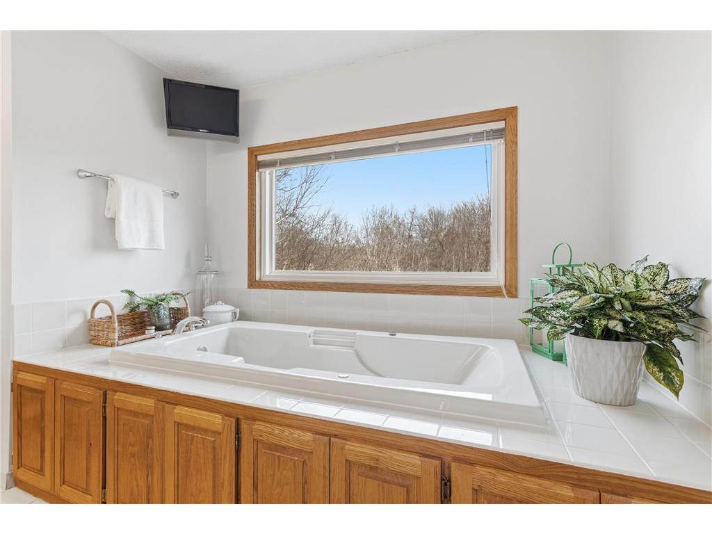 14765 38th Avenue N Plymouth MN 55446 7082722 image28