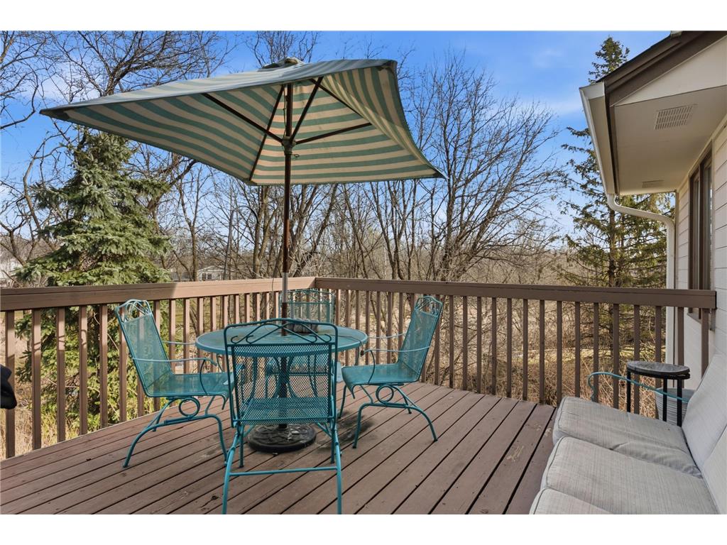 14765 38th Avenue N Plymouth MN 55446 7082722 image46