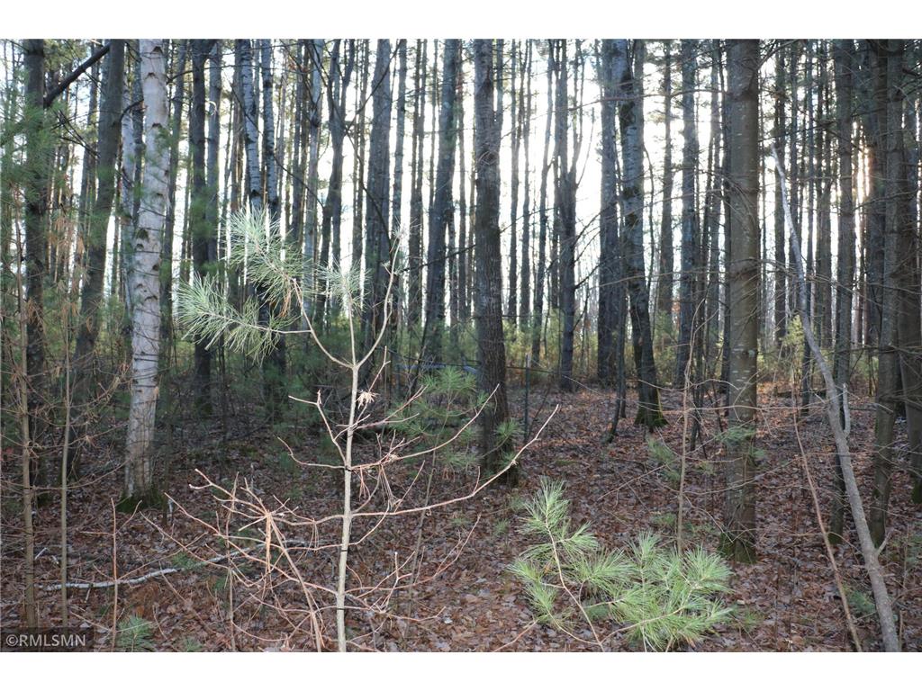 14770 Cross Lake, Pine City Twp, MN, 55063 MLS 6470444 Edina Realty