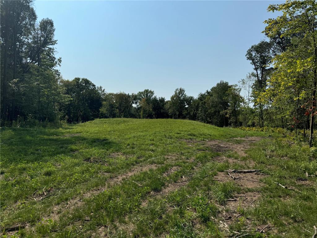 14770 Packard Street NE Ham Lake MN 55304 6825537 image3