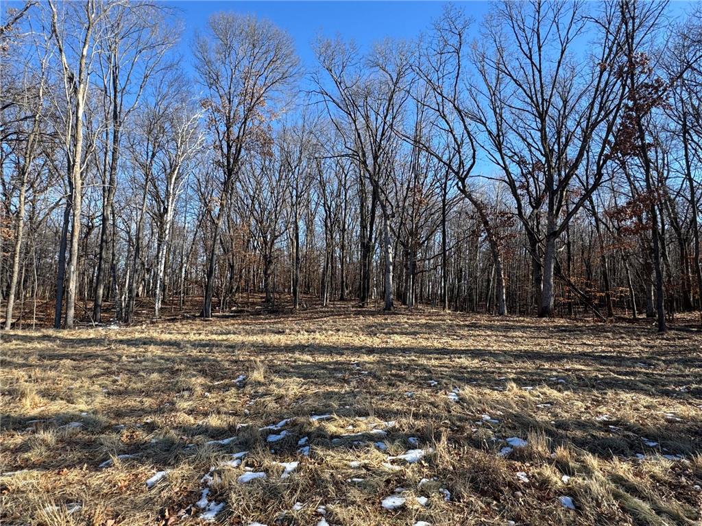 14775 Stutz Street NE Ham Lake MN 55304 6825570 image1