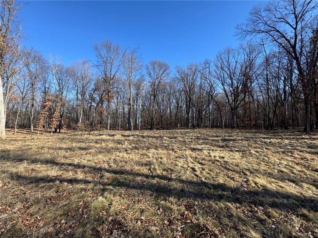 14775 Stutz Street NE Ham Lake MN 55304 6825570 image3