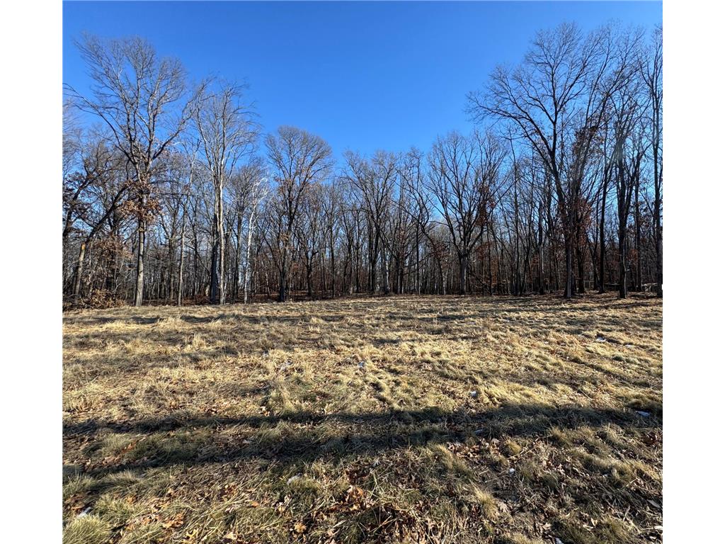 14775 Stutz Street NE Ham Lake MN 55304 6825570 image4