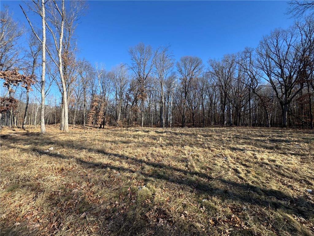 14775 Stutz Street NE Ham Lake MN 55304 6825570 image5