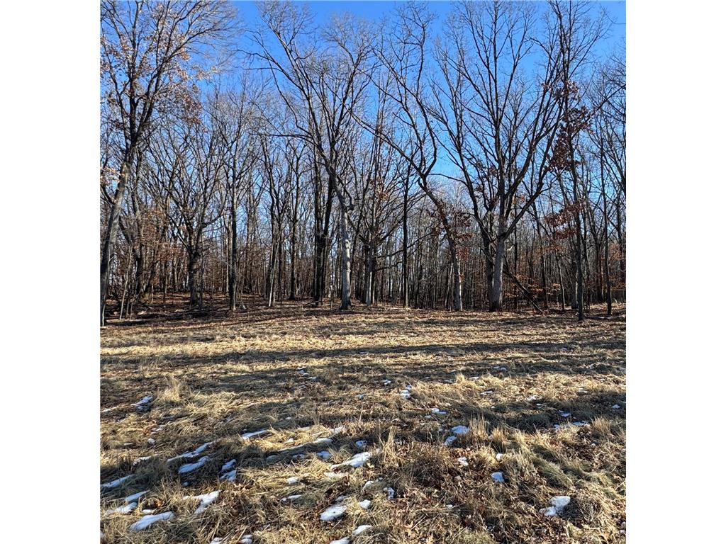 14775 Stutz Street NE Ham Lake MN 55304 6825570 image6