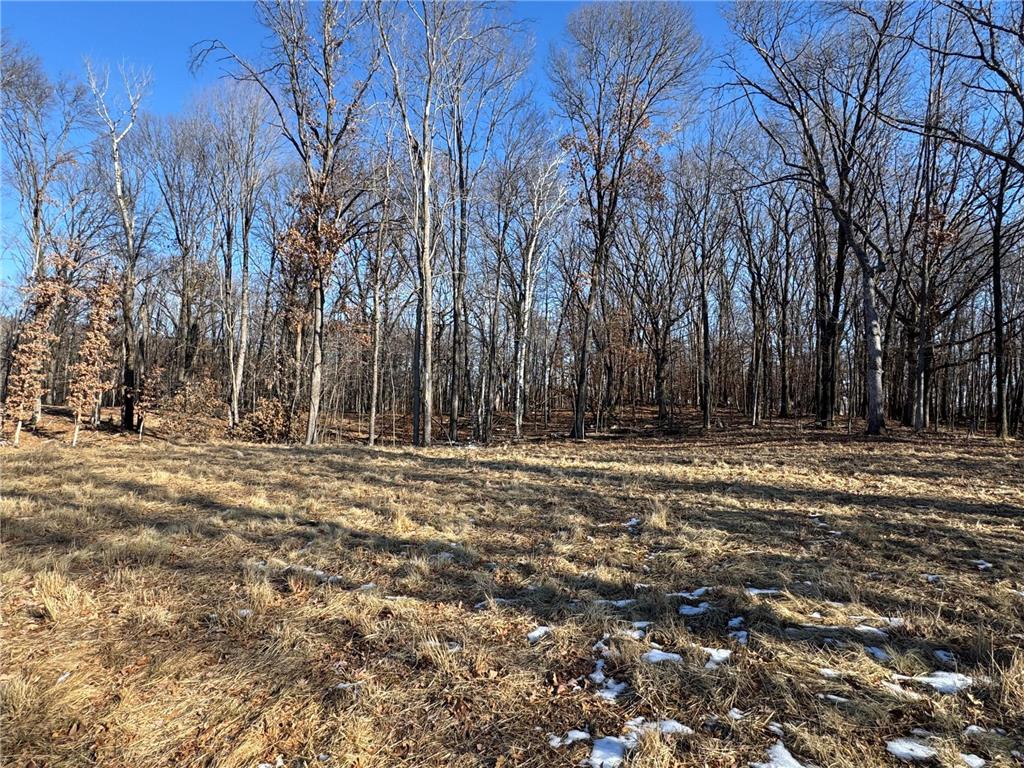 14775 Stutz Street NE Ham Lake MN 55304 6825570 image7