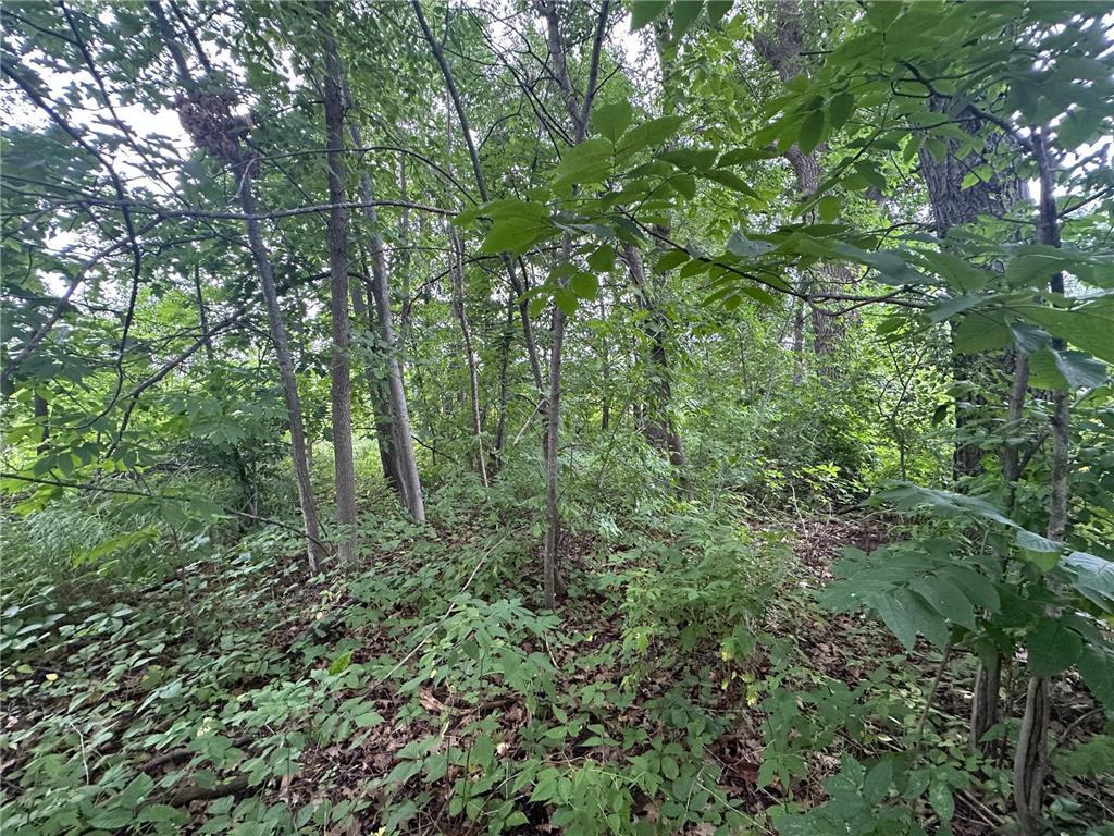 14777 Katrine Drive Deerwood MN 56444 6768252 image10