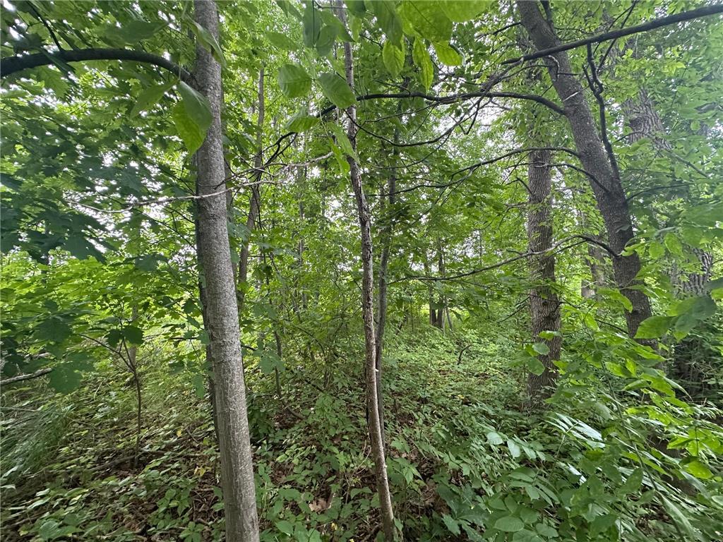 14777 Katrine Drive Deerwood MN 56444 6768252 image8