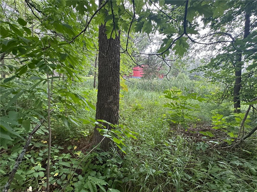 14777 Katrine Drive Deerwood MN 56444 6768252 image9