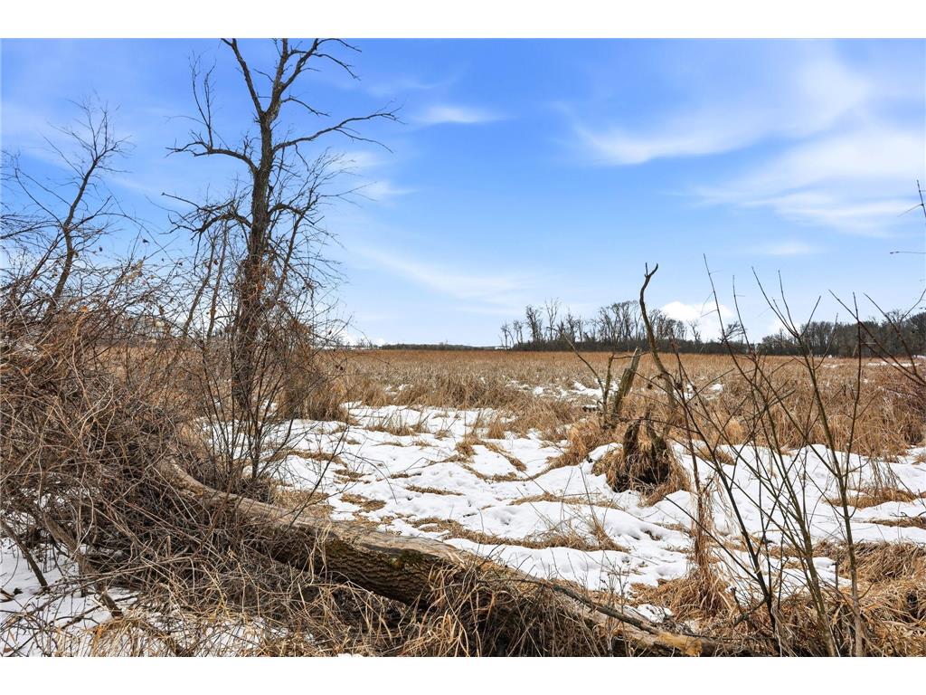 14785 County Road 122 Hollywood Twp MN 55388 7000482 image48