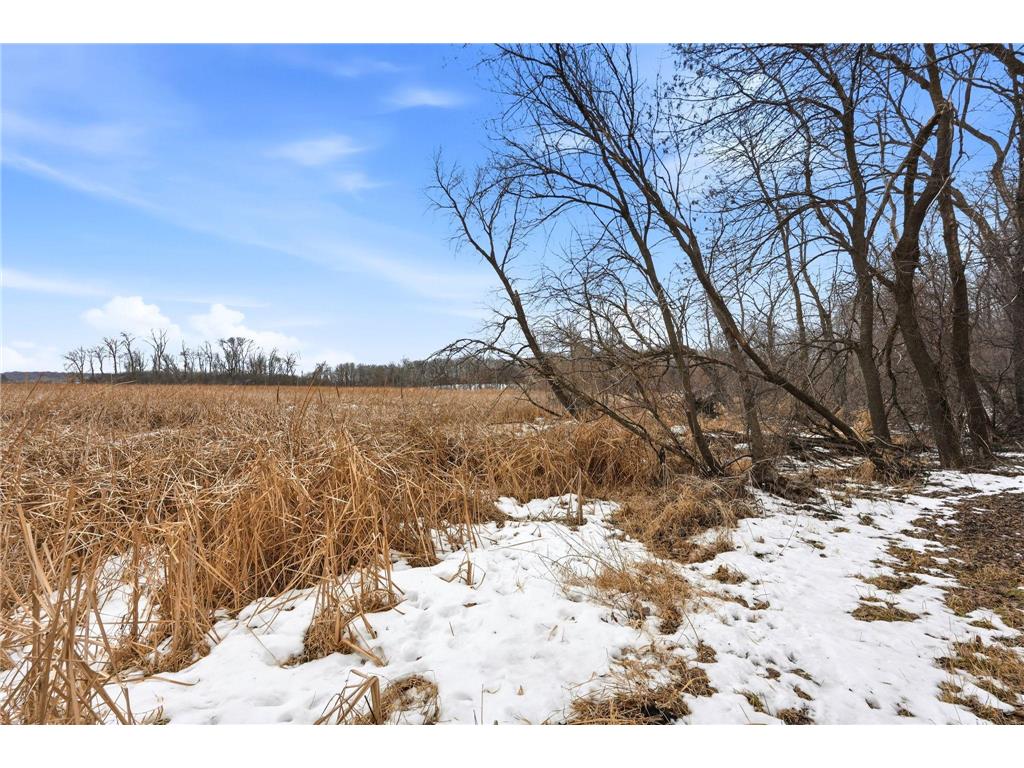 14785 County Road 122 Hollywood Twp MN 55388 7000482 image49