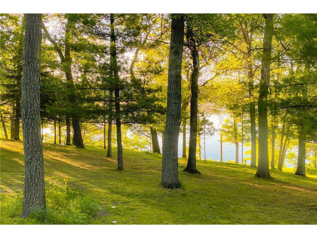 14788 Coyote Drive Park Rapids MN 56470 - Big Stony 6671239 image52