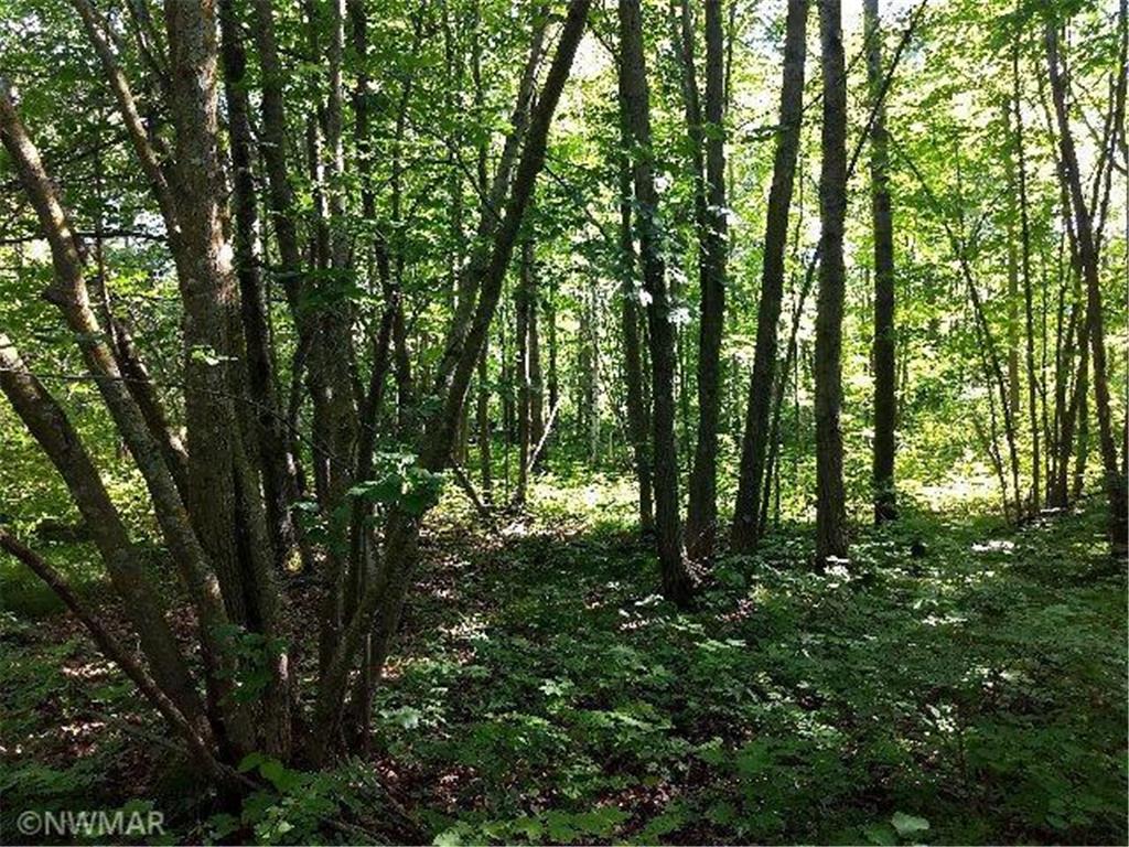 Weather bagley mn 56621