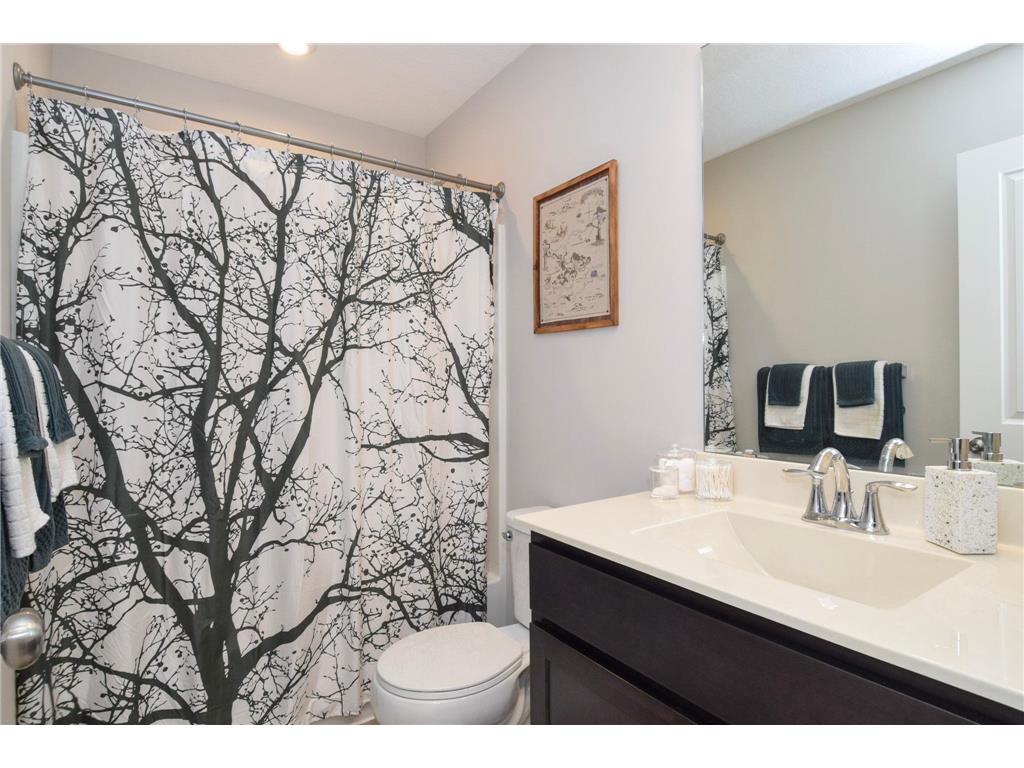 14808 Willemite Street NW Ramsey MN 55303 7017045 image29