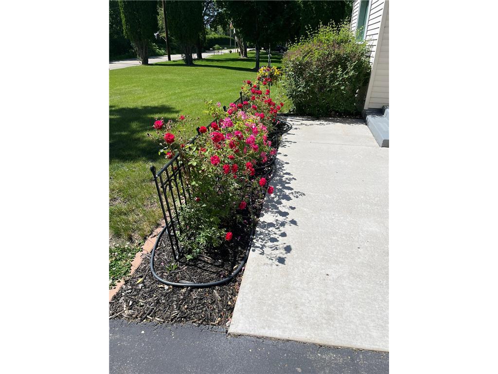 14811 Old Mill Road New London Twp MN 56288 - Nest 7019843 image28