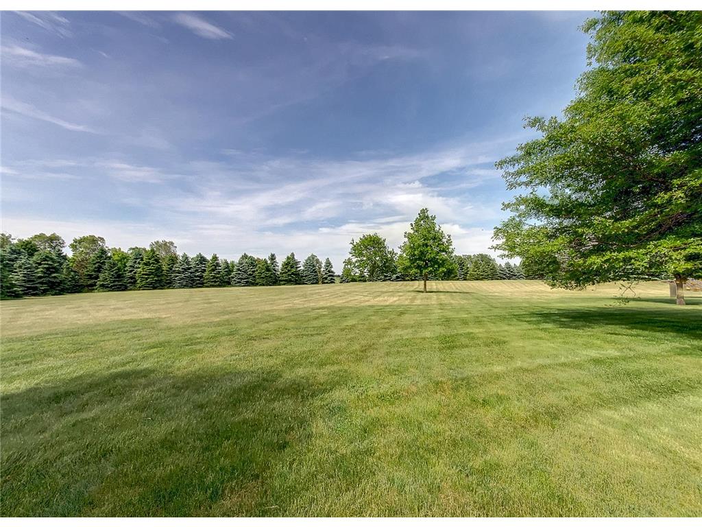 14817 Goodwin Avenue Hastings MN 55033 7077177 image41