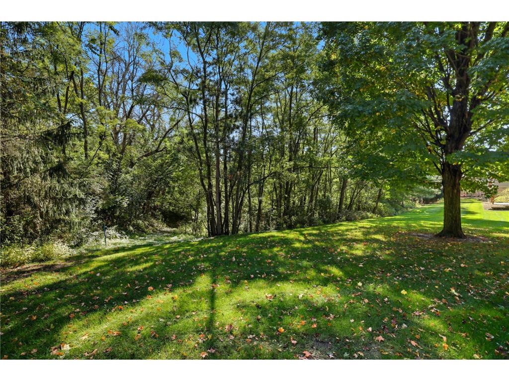 1482 Riverside Drive #1482 River Falls WI 54022 - Kinnickinnic River 6799046 image27