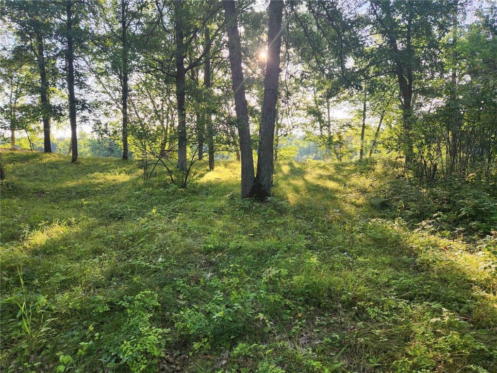 14825 Forest Drive Park Rapids MN 56470 - Potato River 6419025 image1
