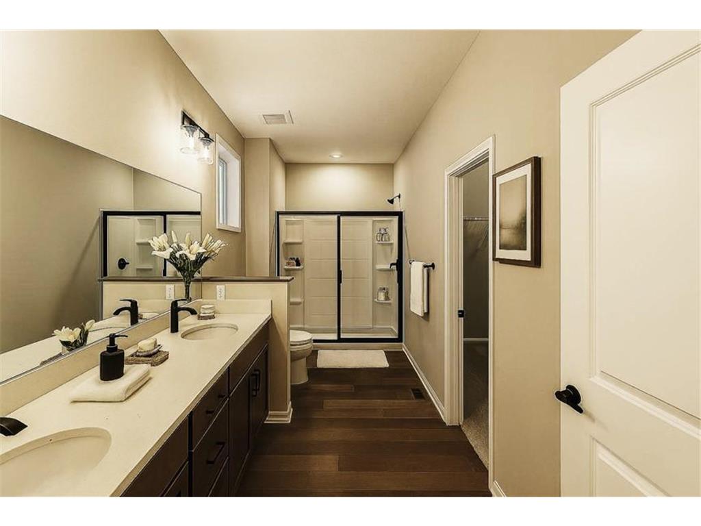 14830 Artaine Trail Rosemount MN 55068 6824964 image12