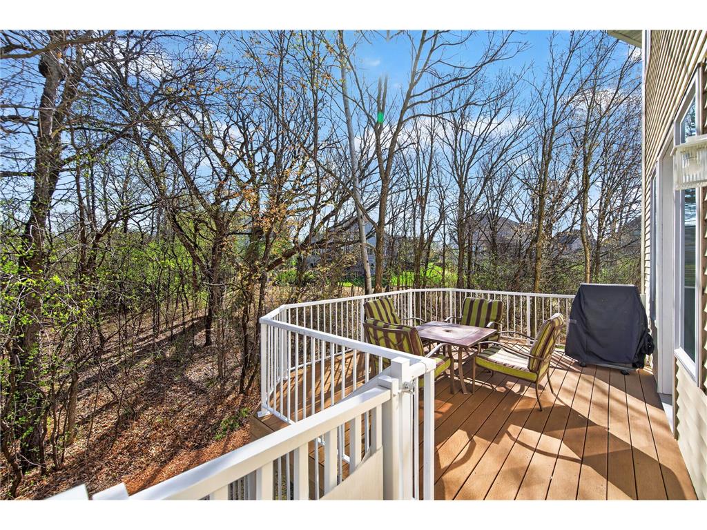 14831 Lac Lavon Drive Burnsville MN 55306 7008391 image46