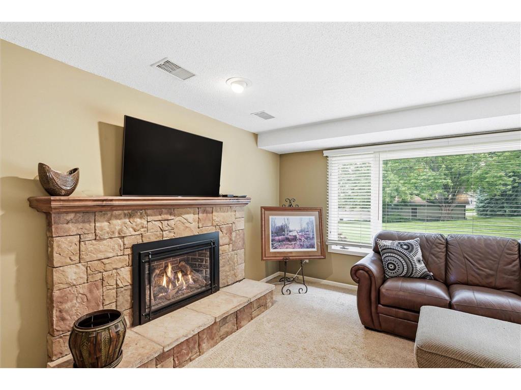 1484 Crest Drive Chaska MN 55318 7079712 image19