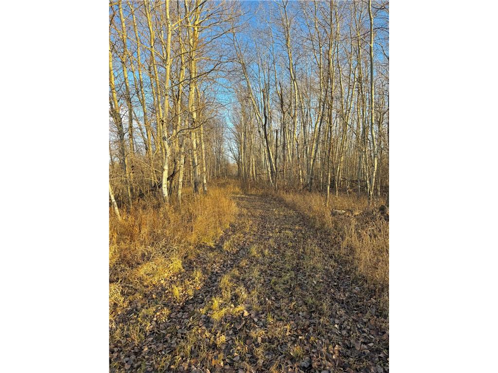 14840 59 Highway NE Rocksbury Twp MN 56701 7070777 image12