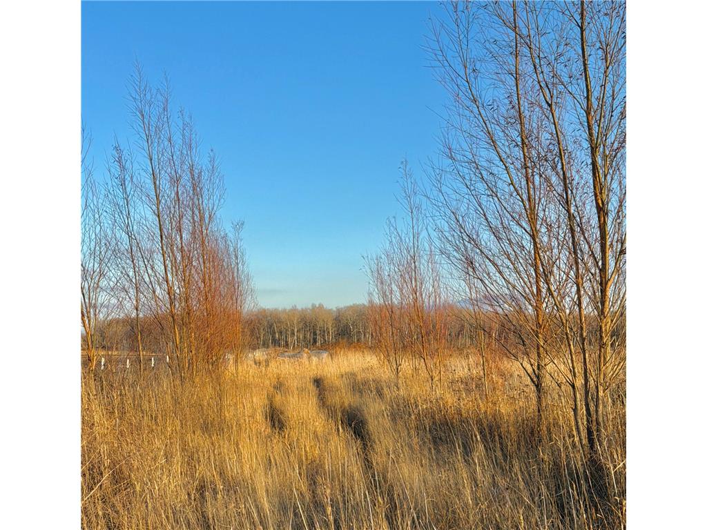 14840 59 Highway NE Rocksbury Twp MN 56701 7070777 image18