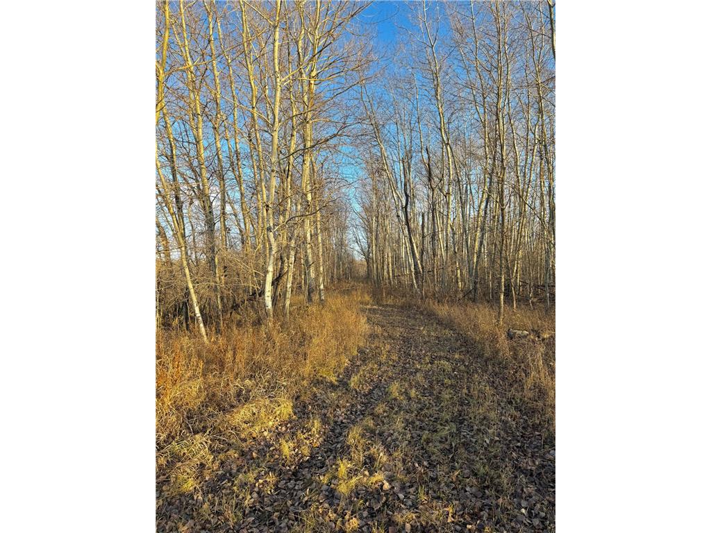 14840 59 Highway NE Rocksbury Twp MN 56701 7070777 image9