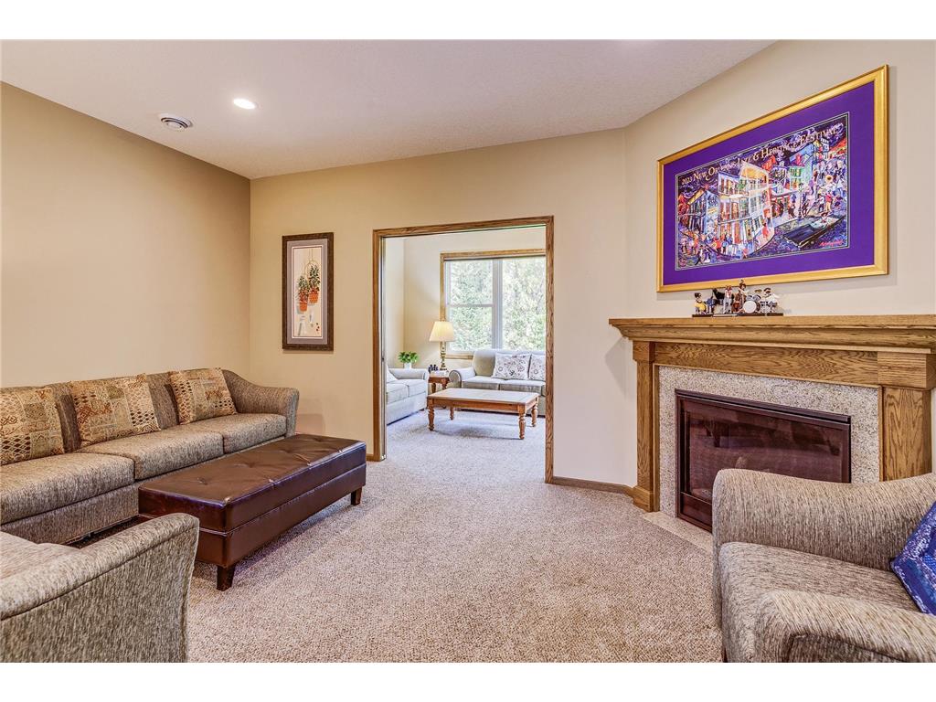 14879 Empress Avenue N Hugo MN 55038 6790475 image11