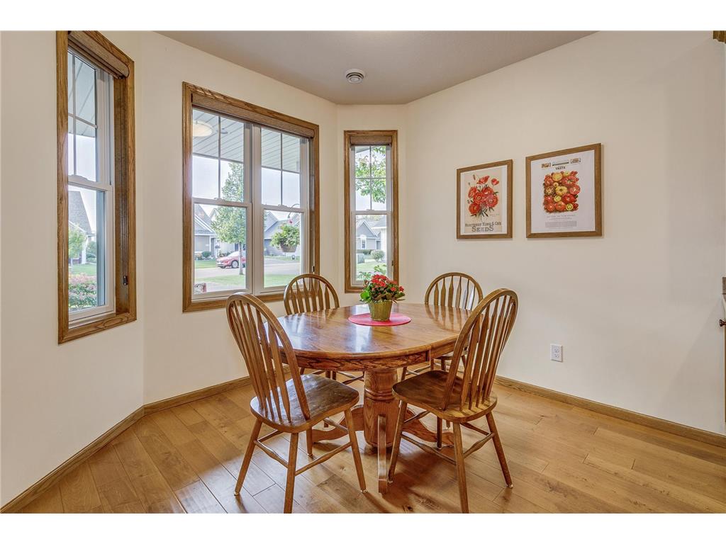 14879 Empress Avenue N Hugo MN 55038 6790475 image16