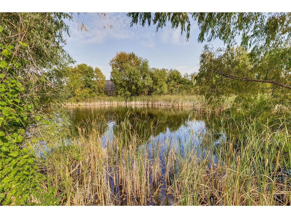 14879 Empress Avenue N Hugo MN 55038 6790475 image2