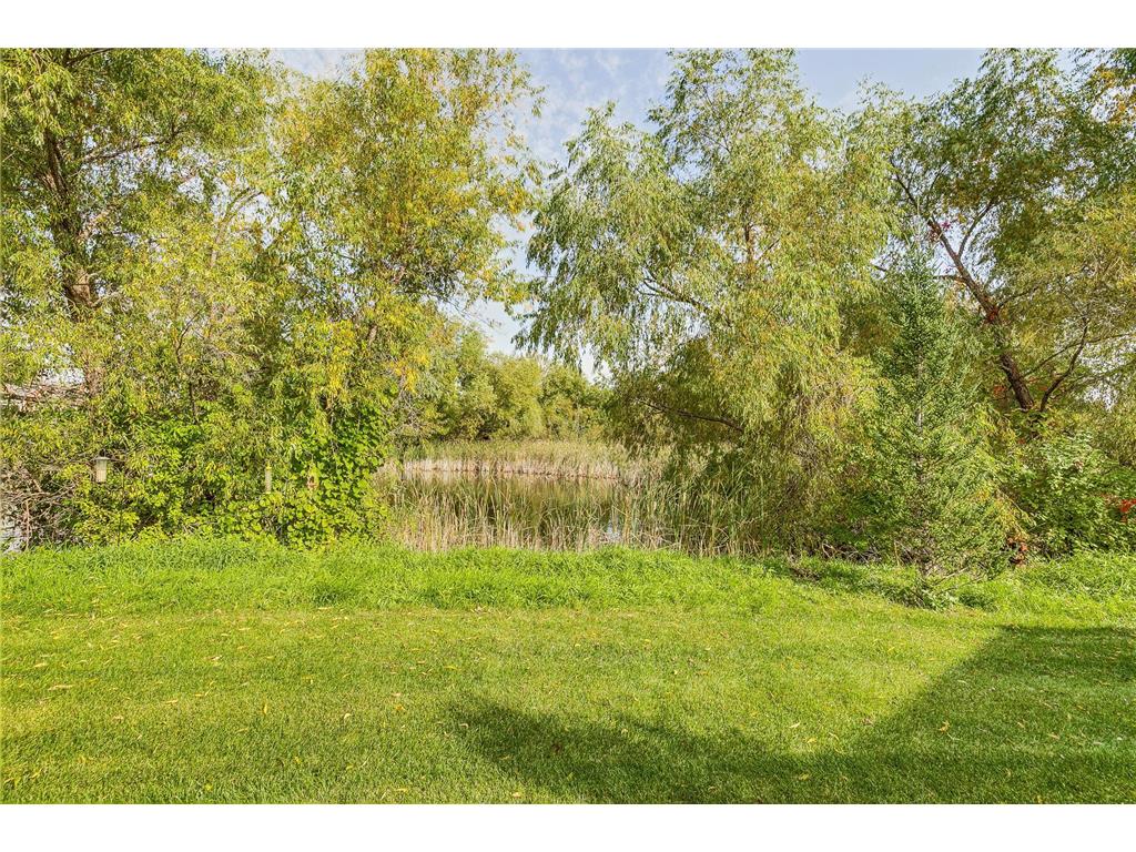 14879 Empress Avenue N Hugo MN 55038 6790475 image7