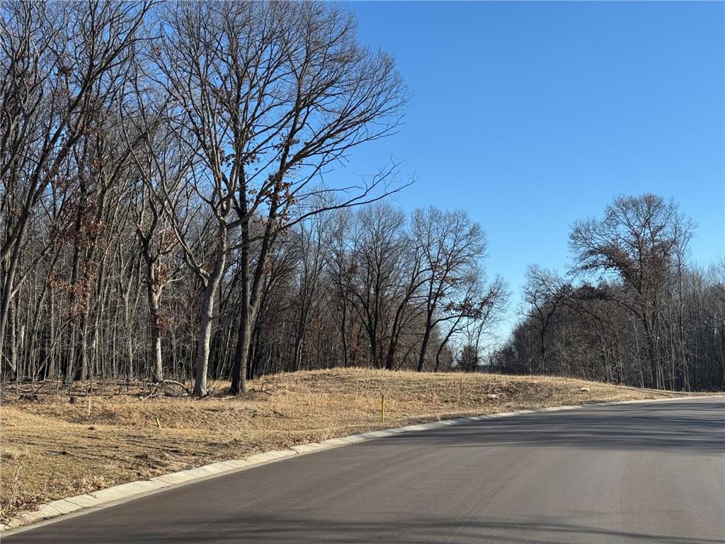 14885 Stutz Street NE Ham Lake MN 55304 6825574 image10