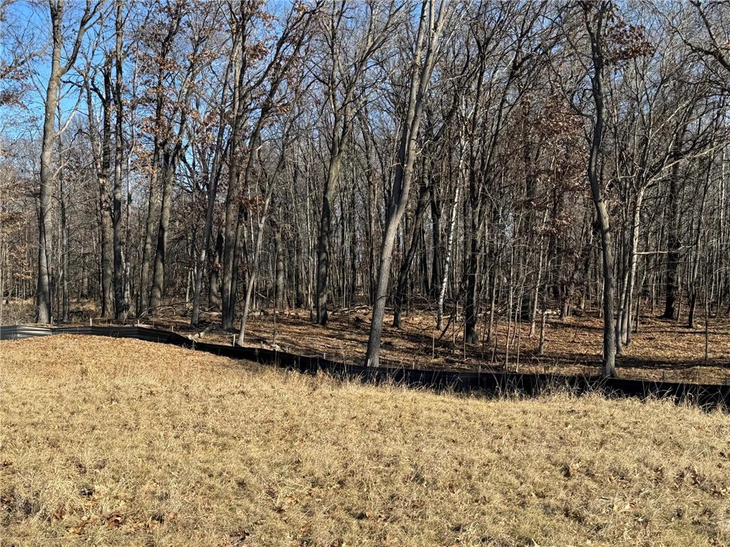 14885 Stutz Street NE Ham Lake MN 55304 6825574 image3