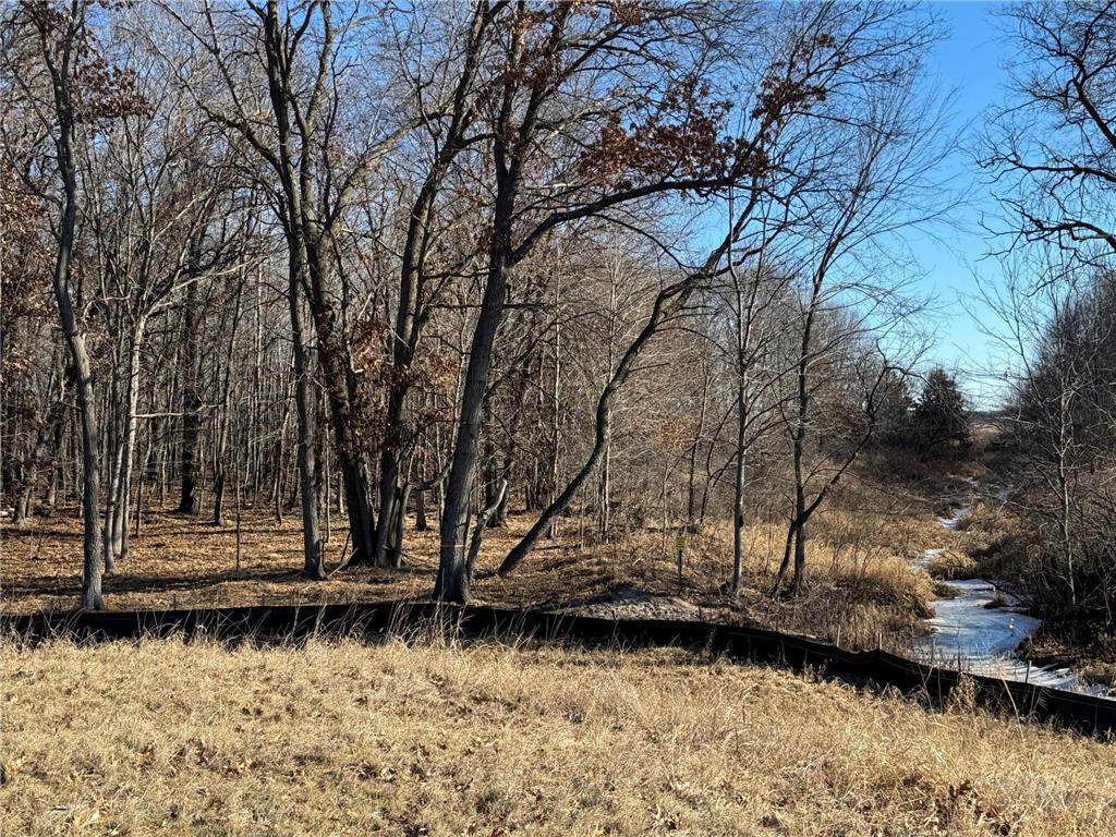 14885 Stutz Street NE Ham Lake MN 55304 6825574 image4