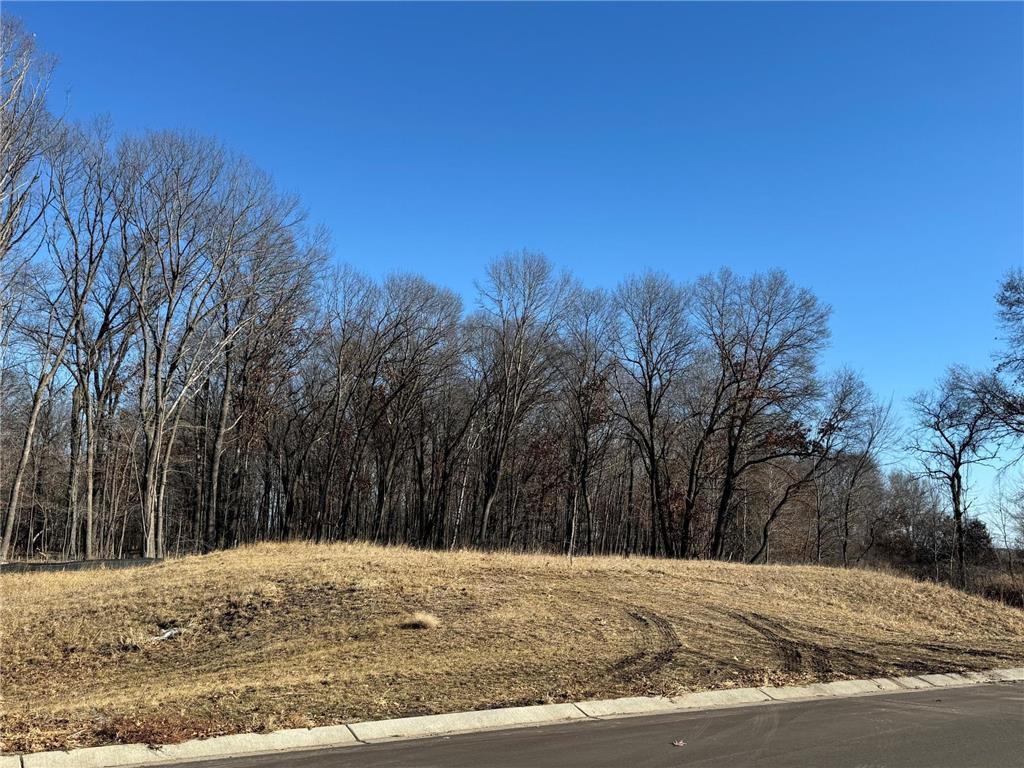 14885 Stutz Street NE Ham Lake MN 55304 6825574 image7