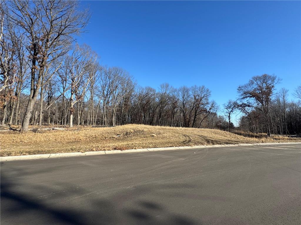 14885 Stutz Street NE Ham Lake MN 55304 6825574 image9