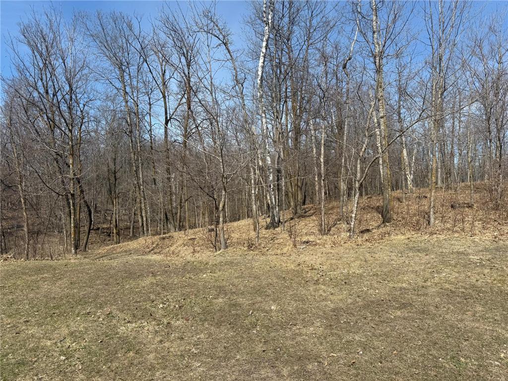 14888 Eaglewood Drive Burlington Twp MN 56501 7059023 image1