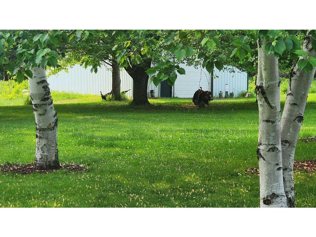 14890 Country Road Rogers MN 55374 7093579 image36