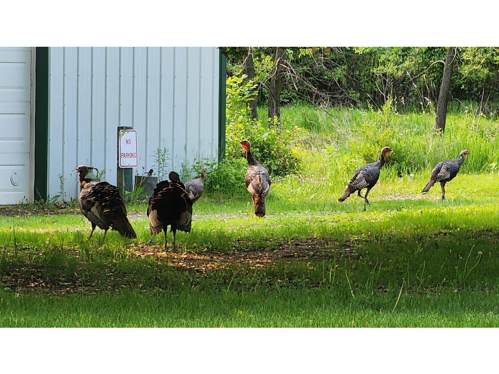 14890 Country Road Rogers MN 55374 7093579 image37