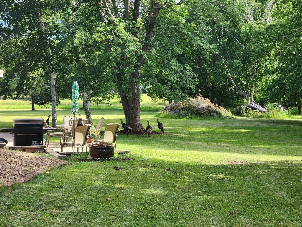 14890 Country Road Rogers MN 55374 7093579 image45