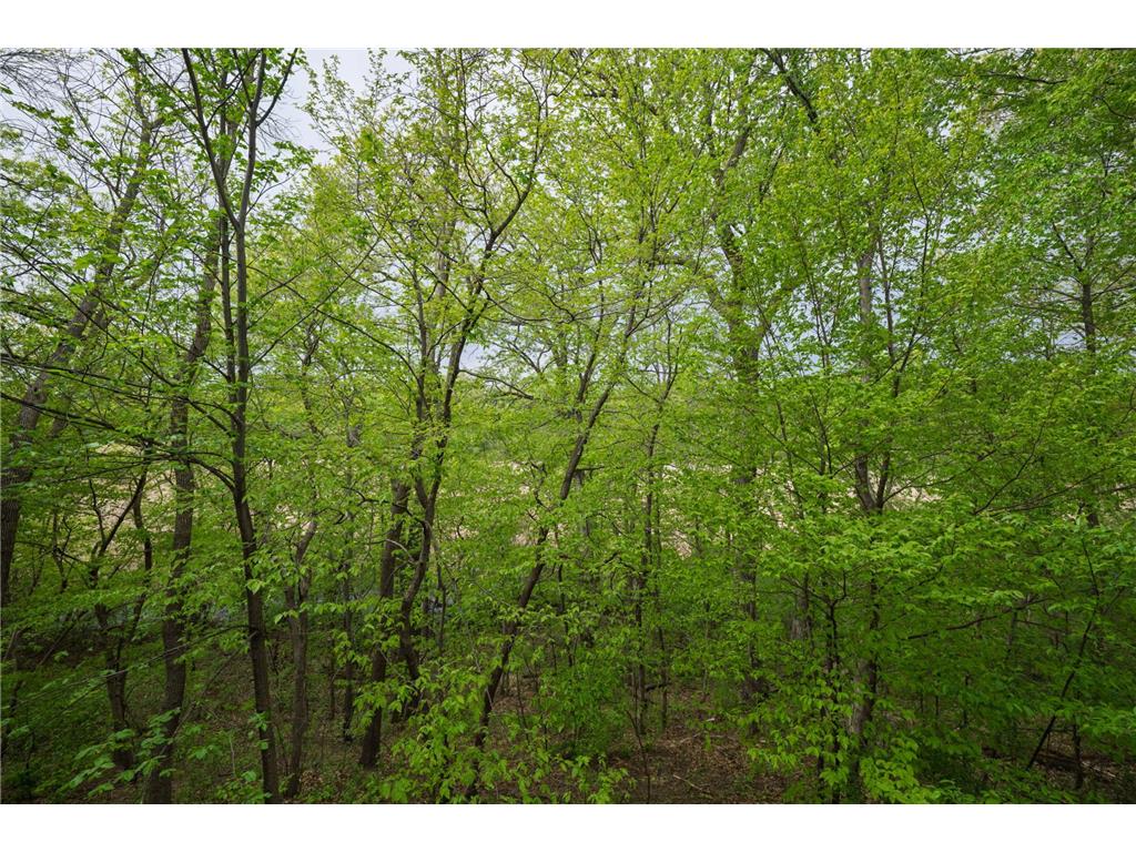 14898 Boulder Pointe Road Eden Prairie MN 55347 7071899 image49