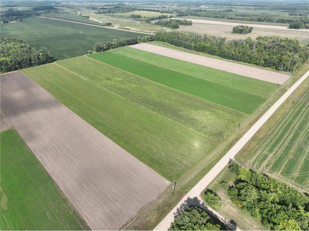 14898 Palomino Road Bertha Twp MN 56437 6440456 image1