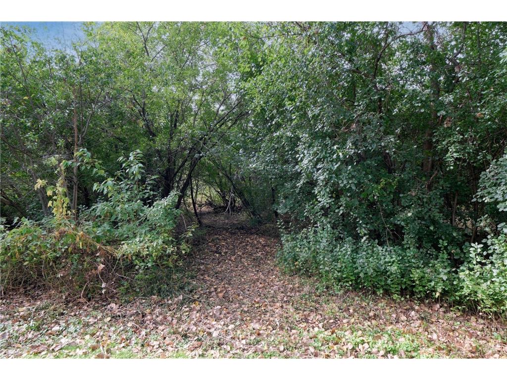 148X Ridgeview Lane Wayzata MN 55391 6789085 image4