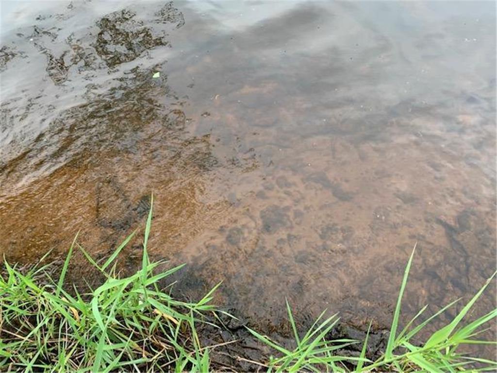 148XX E Cross Lake Road Pine City Twp MN 55063 - Cross 6586619 image6