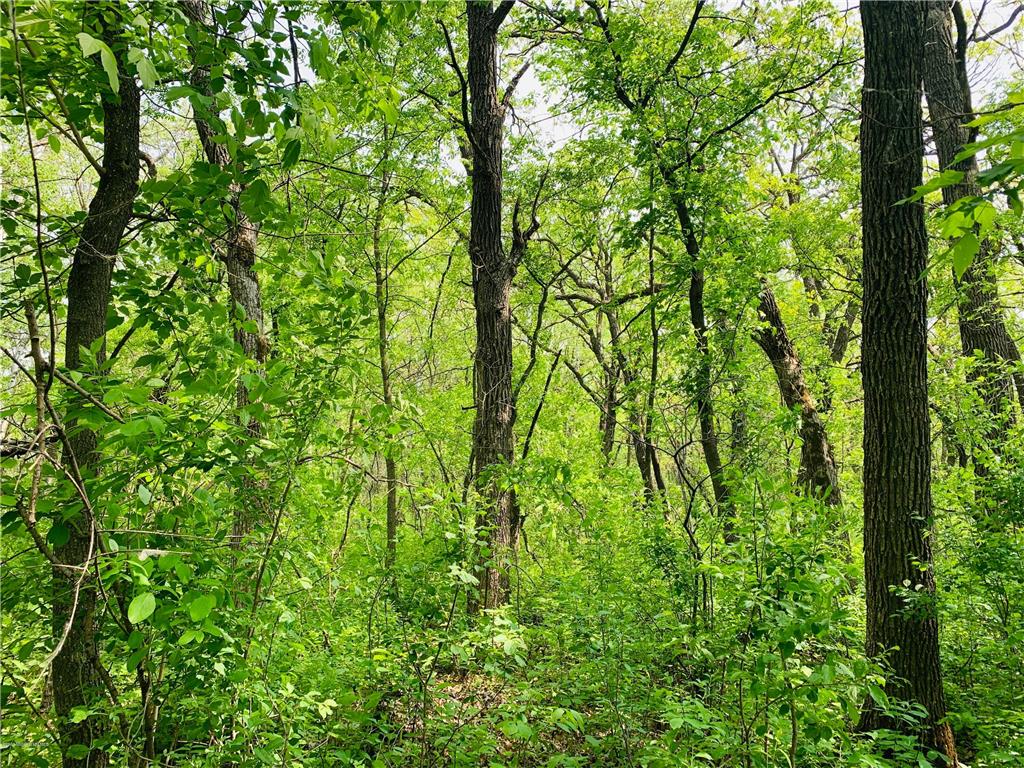 148XX Co Hwy 30 B Pelican Rapids MN 56572 6506527 image1