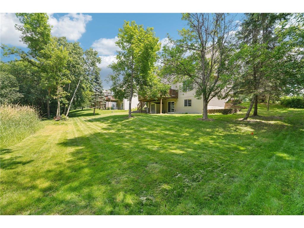 14916 Overlook Drive Savage MN 55378 6744221 image41