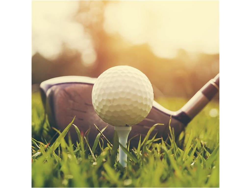 14916 Riverview Lane N Dayton MN 55327 7001035 image40