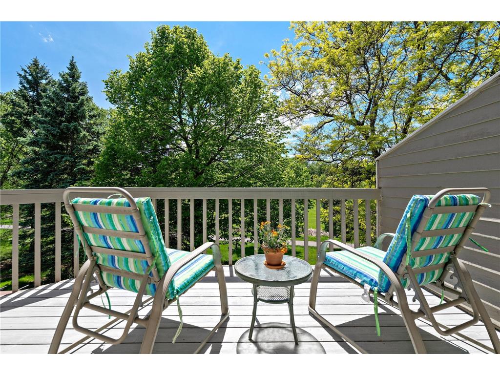 14925 45th Avenue N Plymouth MN 55446 7068038 image12